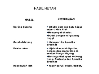 HASIL HUTAN
HASILHASIL KETERANGANKETERANGAN
Sarang Burung  dikutip dari gua batu kapur
seperti Gua Niah
Mempunyai khasiat
Dijual dengan harga yang
tinggi
Getah Jelutung  dieksport ke Amerika
Syarikat
Pembalakan  dijalankan oleh Syarikat
Borneo dan orang Cina di
sekitar Sungai Rajang
Hasilnya dieksport ke Hong
Kong, Australia dan Amerika
Syarikat
Hasil hutan lain  kapur barus, rotan, damar,
 