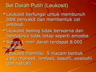Sel Darah Putih (Leukosit)Sel Darah Putih (Leukosit)
Leukosit berfungsi untuk membunuhLeukosit berfungsi untuk membunuh
bibit penyakit dan membentuk zatbibit penyakit dan membentuk zat
antibodi.antibodi.
Leukosit bening tidak berwarna danLeukosit bening tidak berwarna dan
bentuknya tidak tetap seperti amoeba.bentuknya tidak tetap seperti amoeba.
Setiap 1 mmSetiap 1 mm33
darah terdapat 8.000darah terdapat 8.000
leukosit.leukosit.
Leukosit memiliki 5 macam bentukLeukosit memiliki 5 macam bentuk
yaitu monosit, limfosit, basofil, eosinofilyaitu monosit, limfosit, basofil, eosinofil
dan netrofil.dan netrofil.
 