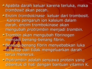 Apabila darah keluar karena terluka, makaApabila darah keluar karena terluka, maka
trombosittrombosit akan pecah.akan pecah.
EnzimEnzim trombokinasetrombokinase keluar dari trombosit.keluar dari trombosit.
Karena pengaruh ion kalsium dalamKarena pengaruh ion kalsium dalam
darah, enzim trombokinase akandarah, enzim trombokinase akan
mengubahmengubah protrombinprotrombin menjadimenjadi trombin.trombin.
Trombin akan mengubah fibrinogenTrombin akan mengubah fibrinogen
menjadi benang-benang fibrin.menjadi benang-benang fibrin.
Benang-benang fibrin menyebabkan lukaBenang-benang fibrin menyebabkan luka
tertutup dan tidak mengeluarkan darahtertutup dan tidak mengeluarkan darah
terus menerus.terus menerus.
ProtrombinProtrombin adalah senyawa protein yangadalah senyawa protein yang
dibentuk di hati dengan bantuan vitamin K.dibentuk di hati dengan bantuan vitamin K.
 