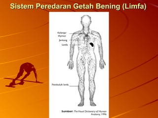Sistem Peredaran Getah Bening (Limfa)Sistem Peredaran Getah Bening (Limfa)
 