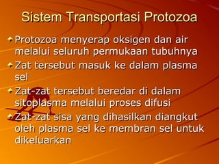 Sistem Transportasi ProtozoaSistem Transportasi Protozoa
Protozoa menyerap oksigen dan airProtozoa menyerap oksigen dan air
melalui seluruh permukaan tubuhnyamelalui seluruh permukaan tubuhnya
Zat tersebut masuk ke dalam plasmaZat tersebut masuk ke dalam plasma
selsel
Zat-zat tersebut beredar di dalamZat-zat tersebut beredar di dalam
sitoplasma melalui proses difusisitoplasma melalui proses difusi
Zat-zat sisa yang dihasilkan diangkutZat-zat sisa yang dihasilkan diangkut
oleh plasma sel ke membran sel untukoleh plasma sel ke membran sel untuk
dikeluarkandikeluarkan
 