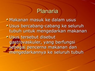PlanariaPlanaria
Makanan masuk ke dalam ususMakanan masuk ke dalam usus
Usus bercabang-cabang ke seluruhUsus bercabang-cabang ke seluruh
tubuh untuk mengedarkan makanantubuh untuk mengedarkan makanan
Usus tersebut disebutUsus tersebut disebut
gastrovaskuler, yang berfungsigastrovaskuler, yang berfungsi
sebagai pencerna makanan dansebagai pencerna makanan dan
mengedarkannya ke seluruh tubuhmengedarkannya ke seluruh tubuh
 