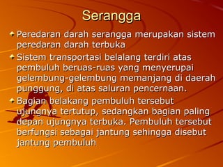 Peredaran darah serangga merupakan sistemPeredaran darah serangga merupakan sistem
peredaran darah terbukaperedaran darah terbuka
Sistem transportasi belalang terdiri atasSistem transportasi belalang terdiri atas
pembuluh beruas-ruas yang menyerupaipembuluh beruas-ruas yang menyerupai
gelembung-gelembung memanjang di daerahgelembung-gelembung memanjang di daerah
punggung, di atas saluran pencernaan.punggung, di atas saluran pencernaan.
Bagian belakang pembuluh tersebutBagian belakang pembuluh tersebut
ujungnya tertutup, sedangkan bagian palingujungnya tertutup, sedangkan bagian paling
depan ujungnya terbuka. Pembuluh tersebutdepan ujungnya terbuka. Pembuluh tersebut
berfungsi sebagai jantung sehingga disebutberfungsi sebagai jantung sehingga disebut
jantung pembuluhjantung pembuluh
SeranggaSerangga
 