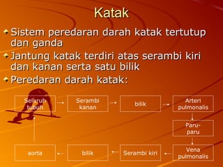 KatakKatak
Sistem peredaran darah katak tertutupSistem peredaran darah katak tertutup
dan gandadan ganda
Jantung katak terdiri atas serambi kiriJantung katak terdiri atas serambi kiri
dan kanan serta satu bilikdan kanan serta satu bilik
Peredaran darah katak:Peredaran darah katak:
Seluruh
tubuh
bilik
Serambi
kanan
Paru-
paru
Arteri
pulmonalis
Vena
pulmonalis
aorta bilik Serambi kiri
 