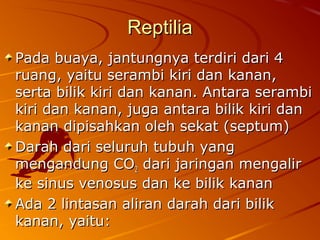 ReptiliaReptilia
Pada buaya, jantungnya terdiri dari 4Pada buaya, jantungnya terdiri dari 4
ruang, yaitu serambi kiri dan kanan,ruang, yaitu serambi kiri dan kanan,
serta bilik kiri dan kanan. Antara serambiserta bilik kiri dan kanan. Antara serambi
kiri dan kanan, juga antara bilik kiri dankiri dan kanan, juga antara bilik kiri dan
kanan dipisahkan oleh sekat (septum)kanan dipisahkan oleh sekat (septum)
Darah dari seluruh tubuh yangDarah dari seluruh tubuh yang
mengandung COmengandung CO22 dari jaringan mengalirdari jaringan mengalir
ke sinus venosus dan ke bilik kananke sinus venosus dan ke bilik kanan
Ada 2 lintasan aliran darah dari bilikAda 2 lintasan aliran darah dari bilik
kanan, yaitu:kanan, yaitu:
 
