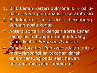 1.1. Bilik kananBilik kanan→→arteri pulmonalisarteri pulmonalis →→ paru-paru-
paruparu →→vena pulmonalisvena pulmonalis →→ serambi kiriserambi kiri
2.2. Bilik kananBilik kanan →→ aorta kiriaorta kiri →→ bergabungbergabung
dengan aorta kanandengan aorta kanan
Antara aorta kiri dengan aorta kananAntara aorta kiri dengan aorta kanan
saling berhubungan melalui lubangsaling berhubungan melalui lubang
yang disebutyang disebut Foramen PanizzaeForamen Panizzae
Fungsi foramen Panizzae adalah untukFungsi foramen Panizzae adalah untuk
menyeimbangkan tekanan darahmenyeimbangkan tekanan darah
dalam jantung pada saat hewandalam jantung pada saat hewan
tersebut menyelam dalam airtersebut menyelam dalam air
 
