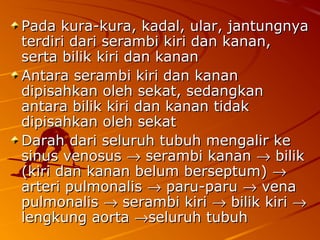 Pada kura-kura, kadal, ular, jantungnyaPada kura-kura, kadal, ular, jantungnya
terdiri dari serambi kiri dan kanan,terdiri dari serambi kiri dan kanan,
serta bilik kiri dan kananserta bilik kiri dan kanan
Antara serambi kiri dan kananAntara serambi kiri dan kanan
dipisahkan oleh sekat, sedangkandipisahkan oleh sekat, sedangkan
antara bilik kiri dan kanan tidakantara bilik kiri dan kanan tidak
dipisahkan oleh sekatdipisahkan oleh sekat
Darah dari seluruh tubuh mengalir keDarah dari seluruh tubuh mengalir ke
sinus venosussinus venosus →→ serambi kananserambi kanan →→ bilikbilik
(kiri dan kanan belum berseptum)(kiri dan kanan belum berseptum) →→
arteri pulmonalisarteri pulmonalis →→ paru-paruparu-paru →→ venavena
pulmonalispulmonalis →→ serambi kiriserambi kiri →→ bilik kiribilik kiri →→
lengkung aortalengkung aorta →→seluruh tubuhseluruh tubuh
 
