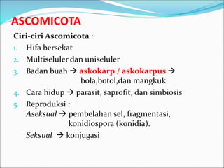 ASCOMICOTA
Ciri-ciri Ascomicota :
1. Hifa bersekat
2. Multiseluler dan uniseluler
3. Badan buah  askokarp / askokarpus 
bola,botol,dan mangkuk.
4. Cara hidup  parasit, saprofit, dan simbiosis
5. Reproduksi :
Aseksual  pembelahan sel, fragmentasi,
konidiospora (konidia).
Seksual  konjugasi
 