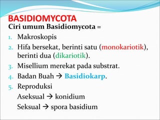 BASIDIOMYCOTA
Ciri umum Basidiomycota =
1. Makroskopis
2. Hifa bersekat, berinti satu (monokariotik),
berinti dua (dikariotik).
3. Misellium merekat pada substrat.
4. Badan Buah  Basidiokarp.
5. Reproduksi
Aseksual  konidium
Seksual  spora basidium
 