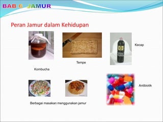 Peran Jamur dalam Kehidupan
Kecap
Kombucha
Berbagai masakan menggunakan jamur
Antibiotik
Tempe
 