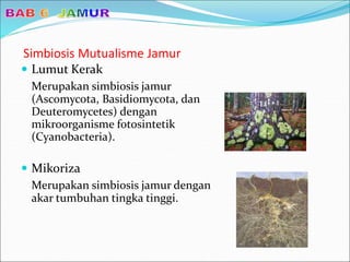 Simbiosis Mutualisme Jamur
 Lumut Kerak
Merupakan simbiosis jamur
(Ascomycota, Basidiomycota, dan
Deuteromycetes) dengan
mikroorganisme fotosintetik
(Cyanobacteria).
 Mikoriza
Merupakan simbiosis jamur dengan
akar tumbuhan tingka tinggi.
 