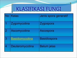 KLASIFIKASI FUNGI
No Kelas Jenis spora generatif
1 Zygomycotina Zygospora
2 Ascomycotina Ascospora
3 Basidiomycotina Basidiospora
4 Deuteromycotina Belum jelas
 