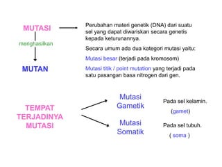 bab-6-mutasi.ppt