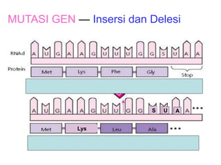mutasi genetik biologi sma kelas xii semester 2 | PPT