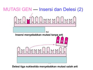 mutasi genetik biologi sma kelas xii semester 2 | PPT