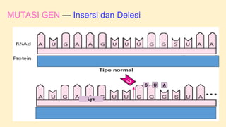 bab-6-mutasi makhluk hidup yang terj.ppt