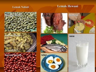 Lemak HewaniLemak HewaniLemak NabatiLemak Nabati
kacang merahkacang merah
kacang tanahkacang tanah
IkanIkan
DagingDagingkacang hijaukacang hijau
telurtelur
mentegamentega
susususu
 