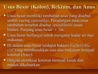 Usus Besar (Kolon), Rektum, dan AnusUsus Besar (Kolon), Rektum, dan Anus
 Usus besar memiliki tambahan usus yang disebutUsus besar memiliki tambahan usus yang disebut
umbai cacingumbai cacing (apendiks).(apendiks). Peradangan pada ususPeradangan pada usus
tambahan tersebut disebuttambahan tersebut disebut apendiksitisapendiksitis (usus(usus
buntu). Panjang usus besar ± 1m.buntu). Panjang usus besar ± 1m.
 Usus besar berfungsi untuk mengatur kadar air sisaUsus besar berfungsi untuk mengatur kadar air sisa
makanan.makanan.
 Di dalam usus besar terdapat bakteriDi dalam usus besar terdapat bakteri EscherichiaEscherichia
colicoli yang membusukkan sisa-sisa makanan menjadiyang membusukkan sisa-sisa makanan menjadi
kotoran (kotoran (fesesfeses).).
 Dengan demikian kotoran menjadi lunak danDengan demikian kotoran menjadi lunak dan
mudah dikeluarkan.mudah dikeluarkan.
 