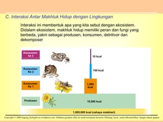 C. Interaksi Antar Makhluk Hidup dengan Lingkungan Interaksi ini membentuk apa yang kita sebut dengan ekosistem. Didalam ekosistem, makhluk hidup memiliki peran dan fungi yang berbeda, yakni sebagai produsen, konsumen, detritivor dan dekomposer Konsumen  ke 3 Konsumen  Ke 2 Konsumen  Ke 1 Produsen 10 kcal 100 kcal 1,000 kcal 10,000 kcal 1,000,000 kcal (cahaya matahari) 