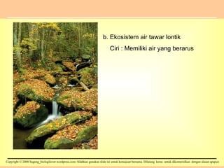 b. Ekosistem air tawar lontik Ciri : Memiliki air yang berarus 
