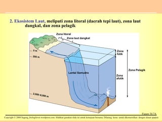 2. Ekosistem Laut,  meliputi zona litoral (daerah tepi laut), zona laut dangkal, dan zona pelagik Figure 34.7A Zona litoral Zona laut dangkal Lantai Samudra Zona fotik Zona  afotik Zona Pelagik 