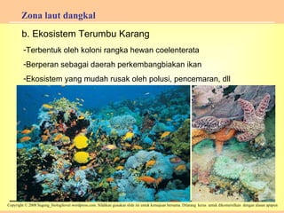 Zona laut dangkal Terbentuk oleh koloni rangka hewan coelenterata Berperan sebagai daerah perkembangbiakan ikan Ekosistem yang mudah rusak oleh polusi, pencemaran, dll b. Ekosistem Terumbu Karang 