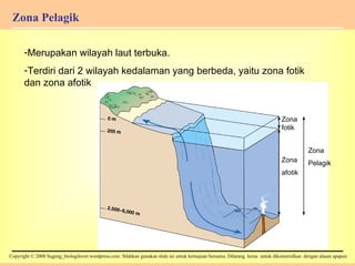 Zona Pelagik Merupakan wilayah laut terbuka. Terdiri dari 2 wilayah kedalaman yang berbeda, yaitu zona fotik dan zona afotik Lantai Samudra Zona fotik Zona afotik Zona  Pelagik 
