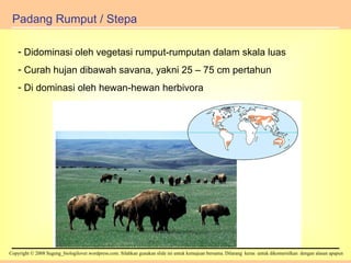 Padang Rumput / Stepa Didominasi oleh vegetasi rumput-rumputan dalam skala luas Curah hujan dibawah savana, yakni 25 – 75 cm pertahun Di dominasi oleh hewan-hewan herbivora 