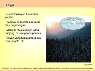 Taiga Figure 34.15 Didominasi oleh tumbuhan konifer Terletak di daerah sub tropis atau pegunungan Memiliki musim dingin yang panjang, musim panas pendek Hewan yang hidup antara lain rusa, srigala, dll 