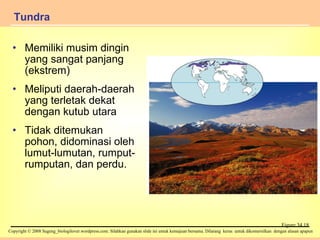 Memiliki musim dingin yang sangat panjang (ekstrem) Meliputi daerah-daerah yang terletak dekat dengan kutub utara Tidak ditemukan pohon, didominasi oleh lumut-lumutan, rumput-rumputan, dan perdu. Tundra   Figure 34.18 