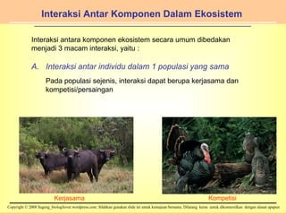 Interaksi Antar Komponen Dalam Ekosistem Interaksi antara komponen ekosistem secara umum dibedakan menjadi 3 macam interaksi, yaitu : Interaksi antar individu dalam 1 populasi yang sama Pada populasi sejenis, interaksi dapat berupa kerjasama dan kompetisi/persaingan Kerjasama  Kompetisi 