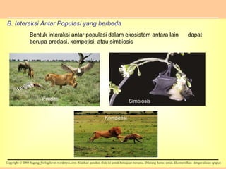 B. Interaksi Antar Populasi yang berbeda Bentuk interaksi antar populasi dalam ekosistem antara lain  dapat  berupa predasi, kompetisi, atau simbiosis Predasi Kompetisi Simbiosis 