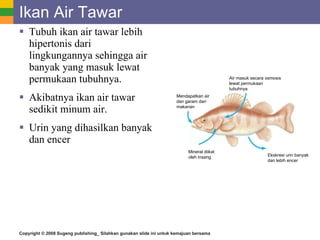 101 Jelaskan Cara Adaptasi Ikan Air Laut Dalam Proses Ekskresinya Terbaik