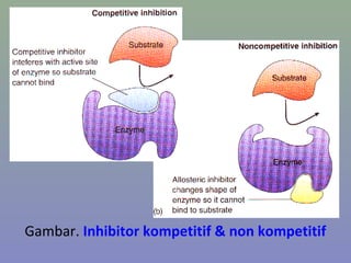 Gambar. Inhibitor kompetitif & non kompetitif
 