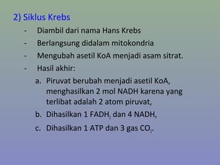 2) Siklus Krebs
- Diambil dari nama Hans Krebs
- Berlangsung didalam mitokondria
- Mengubah asetil KoA menjadi asam sitrat.
- Hasil akhir:
a. Piruvat berubah menjadi asetil KoA,
menghasilkan 2 mol NADH karena yang
terlibat adalah 2 atom piruvat,
b. Dihasilkan 1 FADH2 dan 4 NADH,
c. Dihasilkan 1 ATP dan 3 gas CO2.
 