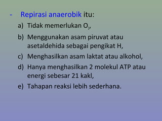 - Repirasi anaerobik itu:
a) Tidak memerlukan O2,
b) Menggunakan asam piruvat atau
asetaldehida sebagai pengikat H,
c) Menghasilkan asam laktat atau alkohol,
d) Hanya menghasilkan 2 molekul ATP atau
energi sebesar 21 kakl,
e) Tahapan reaksi lebih sederhana.
 