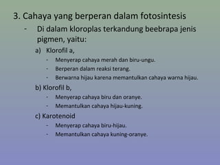 3. Cahaya yang berperan dalam fotosintesis
- Di dalam kloroplas terkandung beebrapa jenis
pigmen, yaitu:
a) Klorofil a,
- Menyerap cahaya merah dan biru-ungu.
- Berperan dalam reaksi terang.
- Berwarna hijau karena memantulkan cahaya warna hijau.
b) Klorofil b,
- Menyerap cahaya biru dan oranye.
- Memantulkan cahaya hijau-kuning.
c) Karotenoid
- Menyerap cahaya biru-hijau.
- Memantulkan cahaya kuning-oranye.
 