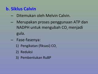 b. Siklus Calvin
– Ditemukan oleh Melvin Calvin.
– Merupakan proses penggunaan ATP dan
NADPH untuk mengubah CO2 menjadi
gula.
– Fase-fasenya:
1) Pengikatan (fiksasi) CO2
2) Reduksi
3) Pembentukan RuBP
 