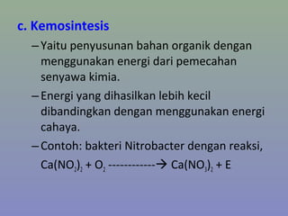 c. Kemosintesis
–Yaitu penyusunan bahan organik dengan
menggunakan energi dari pemecahan
senyawa kimia.
–Energi yang dihasilkan lebih kecil
dibandingkan dengan menggunakan energi
cahaya.
–Contoh: bakteri Nitrobacter dengan reaksi,
Ca(NO2)2 + O2 ------------ Ca(NO3)2 + E
 
