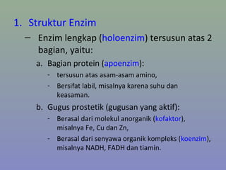1. Struktur Enzim
– Enzim lengkap (holoenzim) tersusun atas 2
bagian, yaitu:
a. Bagian protein (apoenzim):
- tersusun atas asam-asam amino,
- Bersifat labil, misalnya karena suhu dan
keasaman.
b. Gugus prostetik (gugusan yang aktif):
- Berasal dari molekul anorganik (kofaktor),
misalnya Fe, Cu dan Zn,
- Berasal dari senyawa organik kompleks (koenzim),
misalnya NADH, FADH dan tiamin.
 