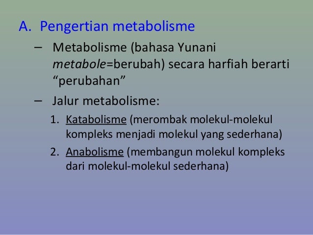 Bab 02 Metabolisme