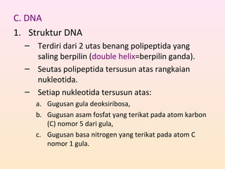 C. DNA
1. Struktur DNA
– Terdiri dari 2 utas benang polipeptida yang
saling berpilin (double helix=berpilin ganda).
– Seutas polipeptida tersusun atas rangkaian
nukleotida.
– Setiap nukleotida tersusun atas:
a. Gugusan gula deoksiribosa,
b. Gugusan asam fosfat yang terikat pada atom karbon
(C) nomor 5 dari gula,
c. Gugusan basa nitrogen yang terikat pada atom C
nomor 1 gula.
 