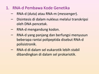 1. RNA-d Pembawa Kode Genetika
– RNA-d (duta) atau RNA-m (messenger).
– Disintesis di dalam nukleus melalui transkripsi
oleh DNA pencetak.
– RNA-d mengandung kodon.
– RNA-d yang panjang dan berfungsi menyusun
beberapa rantai polipeptida disebut RNA-d
polisistronik.
– RNA-d di dalam sel eukarotik lebih stabil
dibandingkan di dalam sel prokariotik.
 
