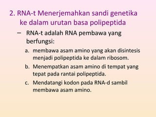 2. RNA-t Menerjemahkan sandi genetika
ke dalam urutan basa polipeptida
– RNA-t adalah RNA pembawa yang
berfungsi:
a. membawa asam amino yang akan disintesis
menjadi polipeptida ke dalam ribosom.
b. Menempatkan asam amino di tempat yang
tepat pada rantai polipeptida.
c. Mendatangi kodon pada RNA-d sambil
membawa asam amino.
 
