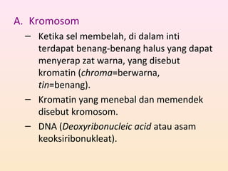 A. Kromosom
– Ketika sel membelah, di dalam inti
terdapat benang-benang halus yang dapat
menyerap zat warna, yang disebut
kromatin (chroma=berwarna,
tin=benang).
– Kromatin yang menebal dan memendek
disebut kromosom.
– DNA (Deoxyribonucleic acid atau asam
keoksiribonukleat).
 
