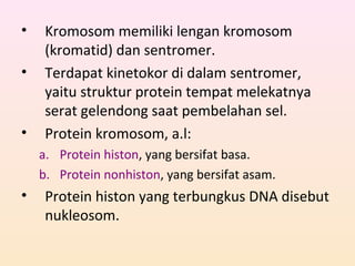 • Kromosom memiliki lengan kromosom
(kromatid) dan sentromer.
• Terdapat kinetokor di dalam sentromer,
yaitu struktur protein tempat melekatnya
serat gelendong saat pembelahan sel.
• Protein kromosom, a.l:
a. Protein histon, yang bersifat basa.
b. Protein nonhiston, yang bersifat asam.
• Protein histon yang terbungkus DNA disebut
nukleosom.
 