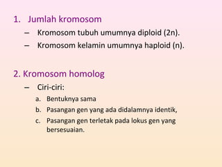 1. Jumlah kromosom
– Kromosom tubuh umumnya diploid (2n).
– Kromosom kelamin umumnya haploid (n).
2. Kromosom homolog
– Ciri-ciri:
a. Bentuknya sama
b. Pasangan gen yang ada didalamnya identik,
c. Pasangan gen terletak pada lokus gen yang
bersesuaian.
 