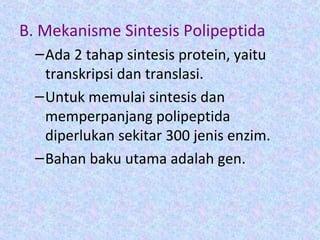 B. Mekanisme Sintesis Polipeptida
–Ada 2 tahap sintesis protein, yaitu
transkripsi dan translasi.
–Untuk memulai sintesis dan
memperpanjang polipeptida
diperlukan sekitar 300 jenis enzim.
–Bahan baku utama adalah gen.
 