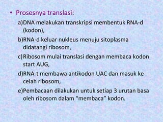 • Prosesnya translasi:
a)DNA melakukan transkripsi membentuk RNA-d
(kodon),
b)RNA-d keluar nukleus menuju sitoplasma
didatangi ribosom,
c)Ribosom mulai translasi dengan membaca kodon
start AUG,
d)RNA-t membawa antikodon UAC dan masuk ke
celah ribosom,
e)Pembacaan dilakukan untuk setiap 3 urutan basa
oleh ribosom dalam “membaca” kodon.
 