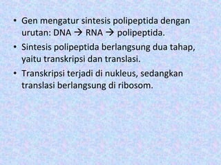 • Gen mengatur sintesis polipeptida dengan
urutan: DNA  RNA  polipeptida.
• Sintesis polipeptida berlangsung dua tahap,
yaitu transkripsi dan translasi.
• Transkripsi terjadi di nukleus, sedangkan
translasi berlangsung di ribosom.
 